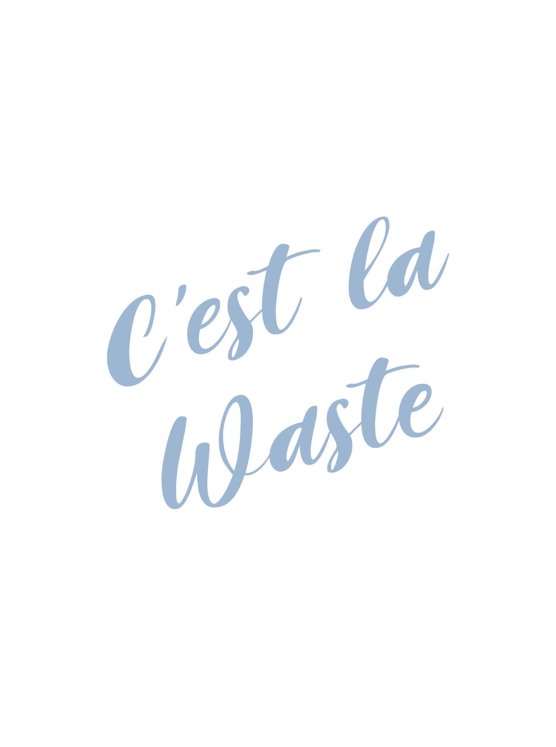 cest_la_waste_2
